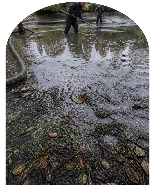Очистка пруда в Карабулаке от ила мусора и водорослей с вывозом